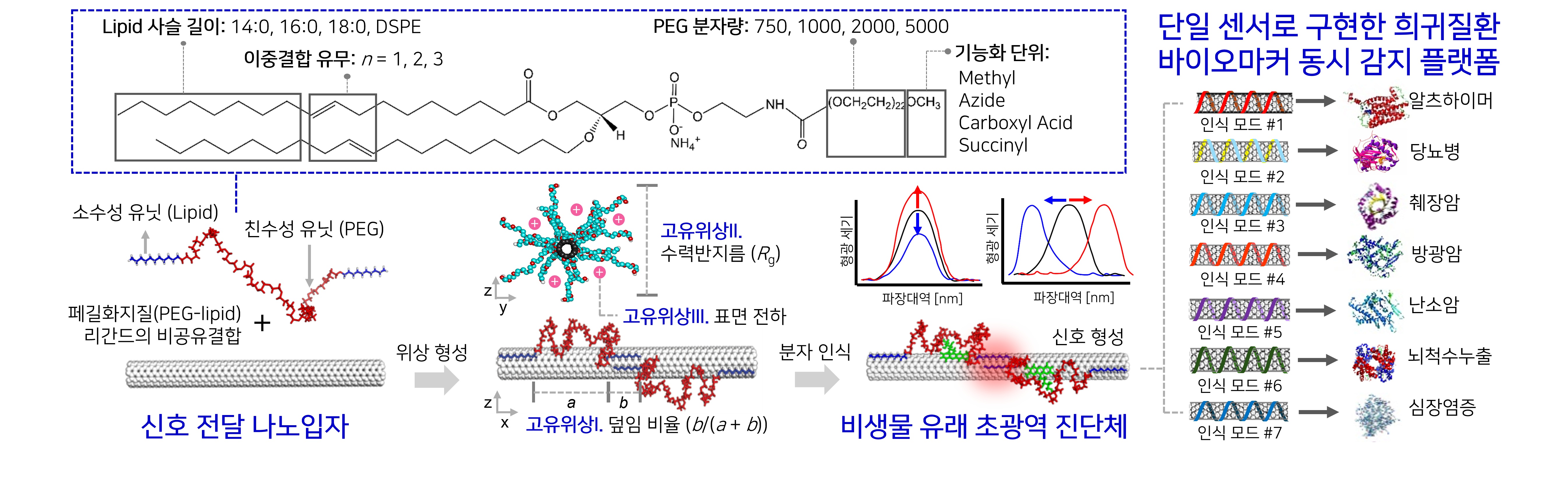 연구과제 이미지_조수연_수정.jpg